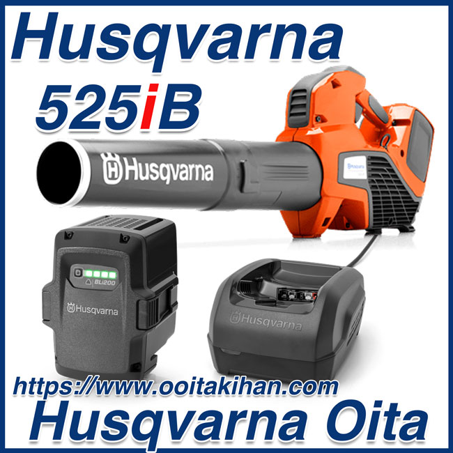ハスクバーナ(Husqvarna) 36V 5.2Ah バッテリーチェーンソー トップハンドル セット品  - 2